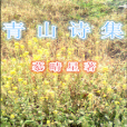青山詩集 青山詩集