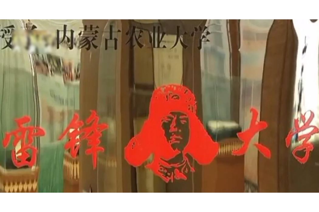 雷鋒大學 雷鋒大學