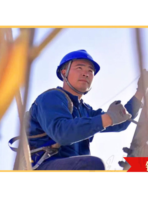 李海龍(國網東營供電公司輸電運檢中心帶電作業班副班長) 李海龍(國網東營供電公司輸電運檢中心帶電作業班副班長)