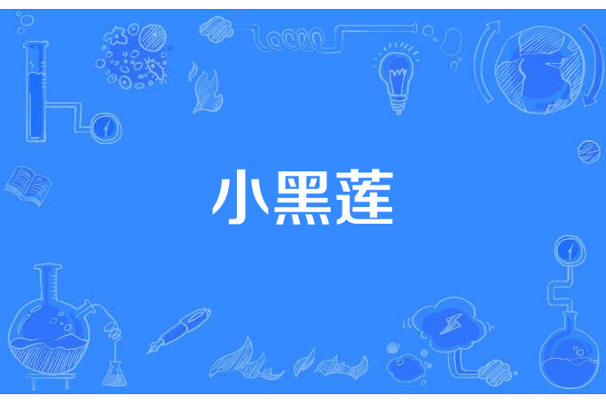 小黑蓮 小黑蓮
