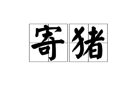寄豬 寄豬