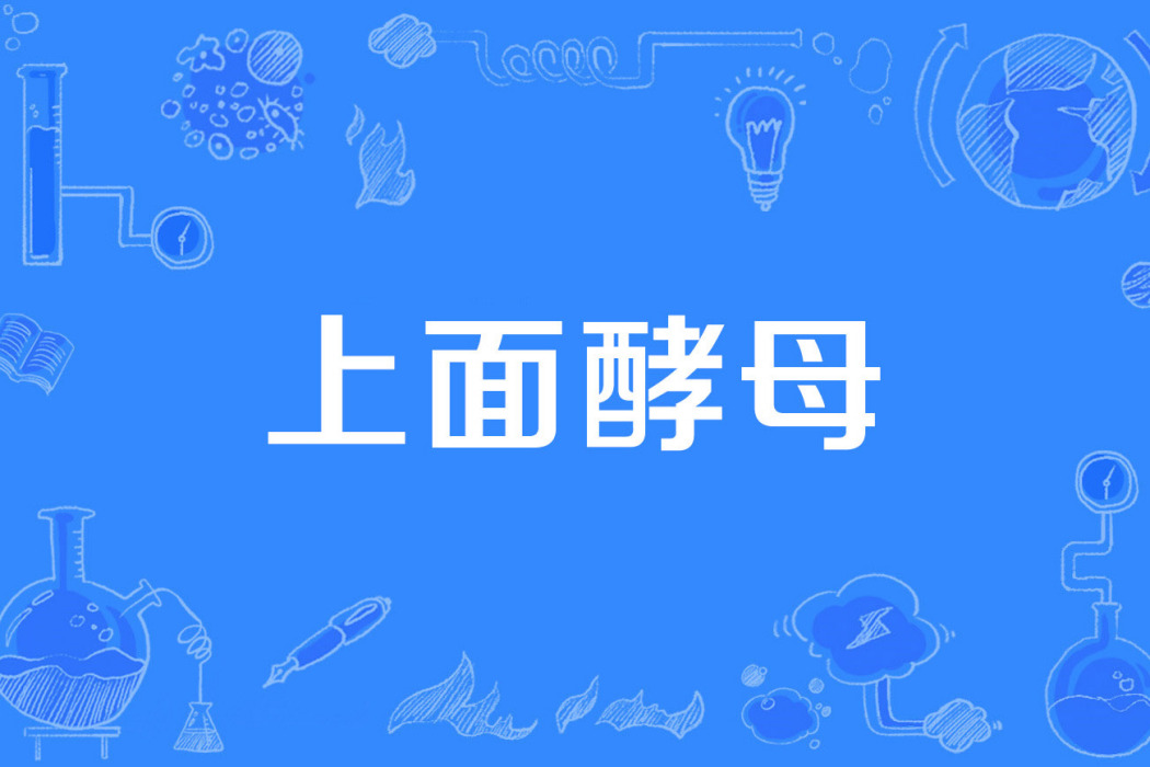上面酵母 上面酵母