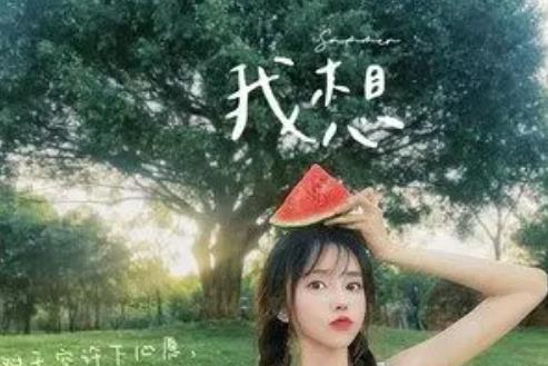 我想(林子琪演唱的歌曲) 我想(林子琪演唱的歌曲)