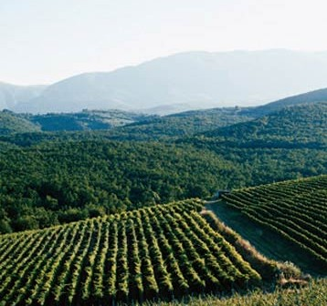 希臘葡萄酒產區