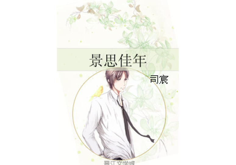 景思佳年 景思佳年