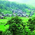 大杉樹村(雲南省曲靖會澤縣雨碌鄉雨碌村委會下轄村) 大杉樹村(雲南省曲靖會澤縣雨碌鄉雨碌村委會下轄村)