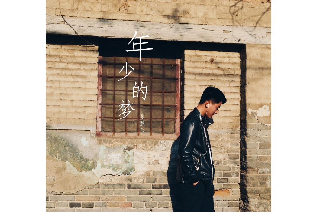 年少的夢(張晨飛演唱歌曲) 年少的夢(張晨飛演唱歌曲)