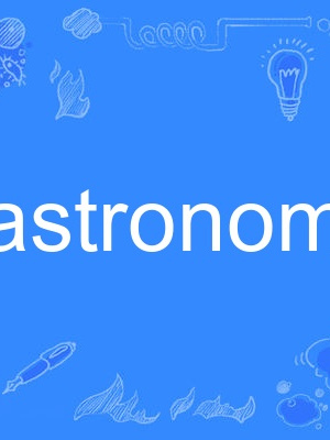 gastronomer gastronomer