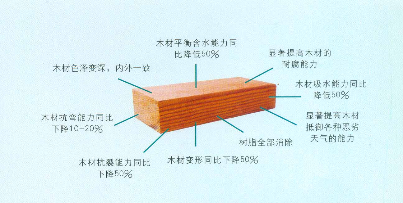 炭化木特徵圖