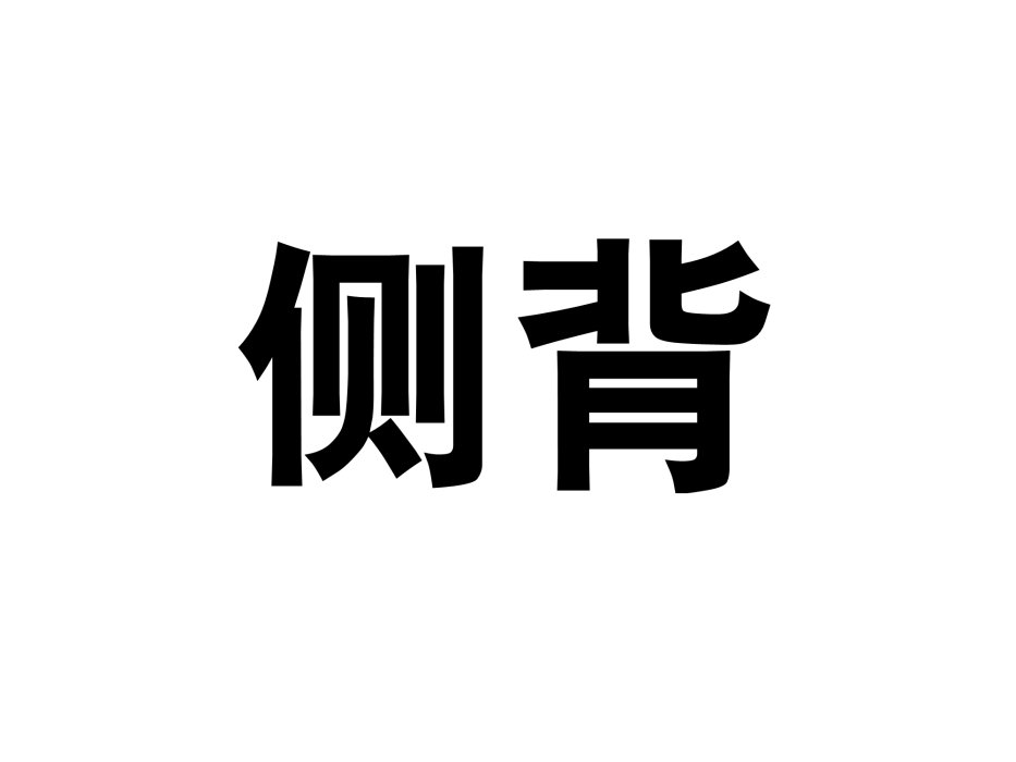 側背 側背
