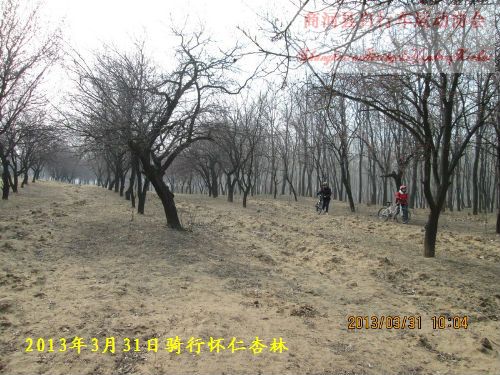 窪李村(河南省駐馬店市下轄村) 窪李村(河南省駐馬店市下轄村)