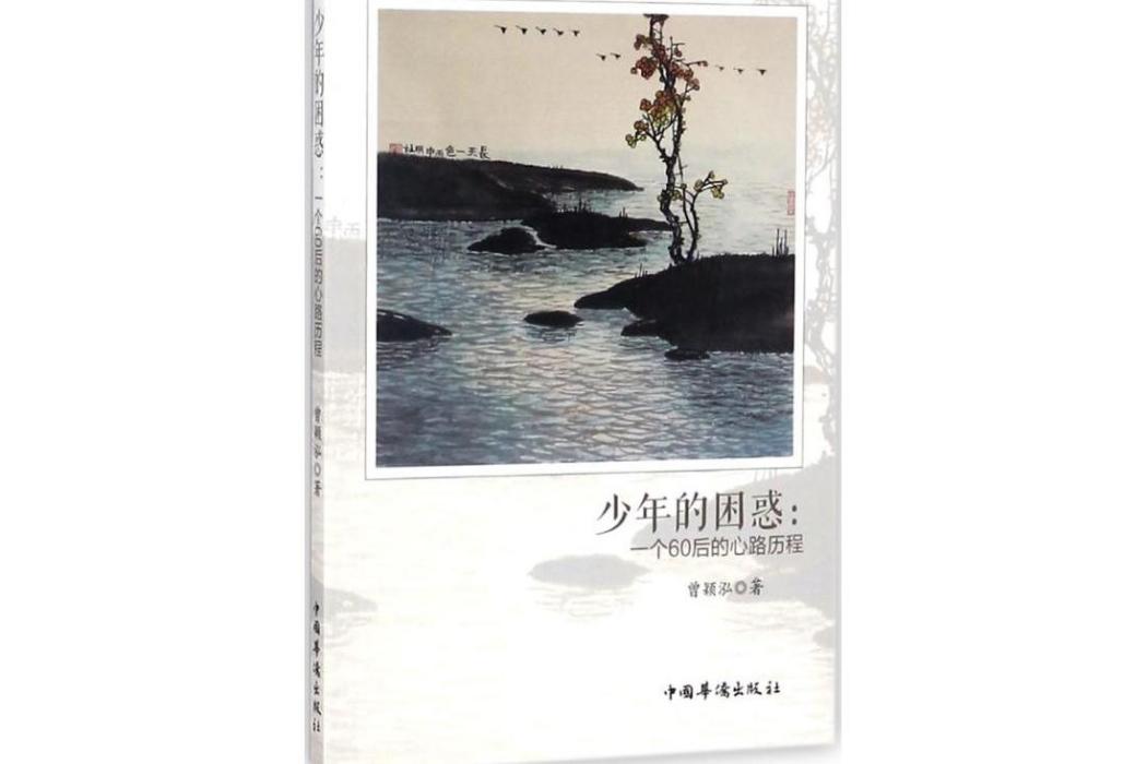 少年的困惑 少年的困惑