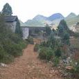 五家寨村(雲南省文山州丘北縣溫瀏鄉五家寨村) 五家寨村(雲南省文山州丘北縣溫瀏鄉五家寨村)