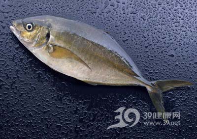 毛鱗魚