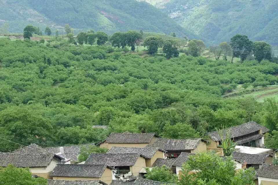 小比舍上村 小比舍上村