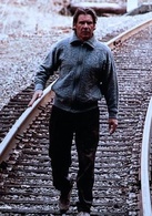 亡命天涯(美國1994年安德魯·戴維斯執導電影)