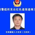 王世君(山西呂梁涉黑犯罪嫌疑人) 王世君(山西呂梁涉黑犯罪嫌疑人)