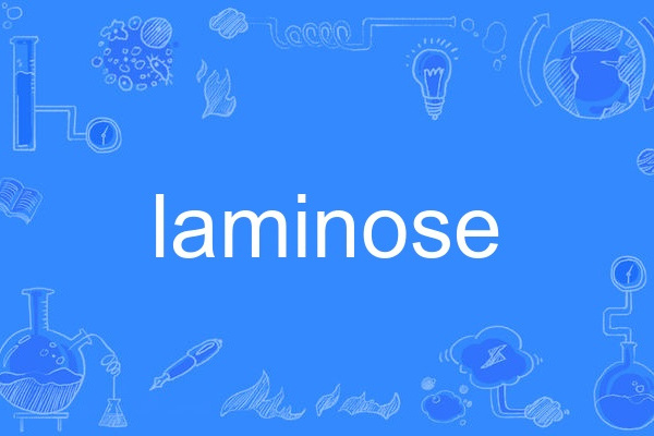laminose laminose