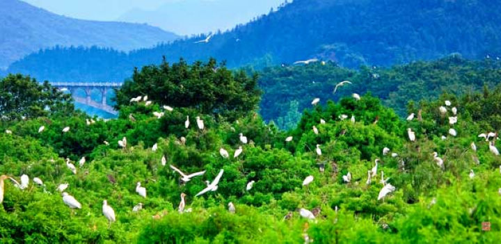 康山候鳥自然保護區
