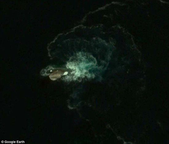 南極海怪 南極海怪