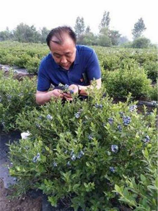 孫傑(呂梁市扶貧開發辦公室駐村幫扶科負責人) 孫傑(呂梁市扶貧開發辦公室駐村幫扶科負責人)