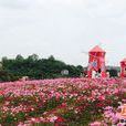 花木世界 花木世界