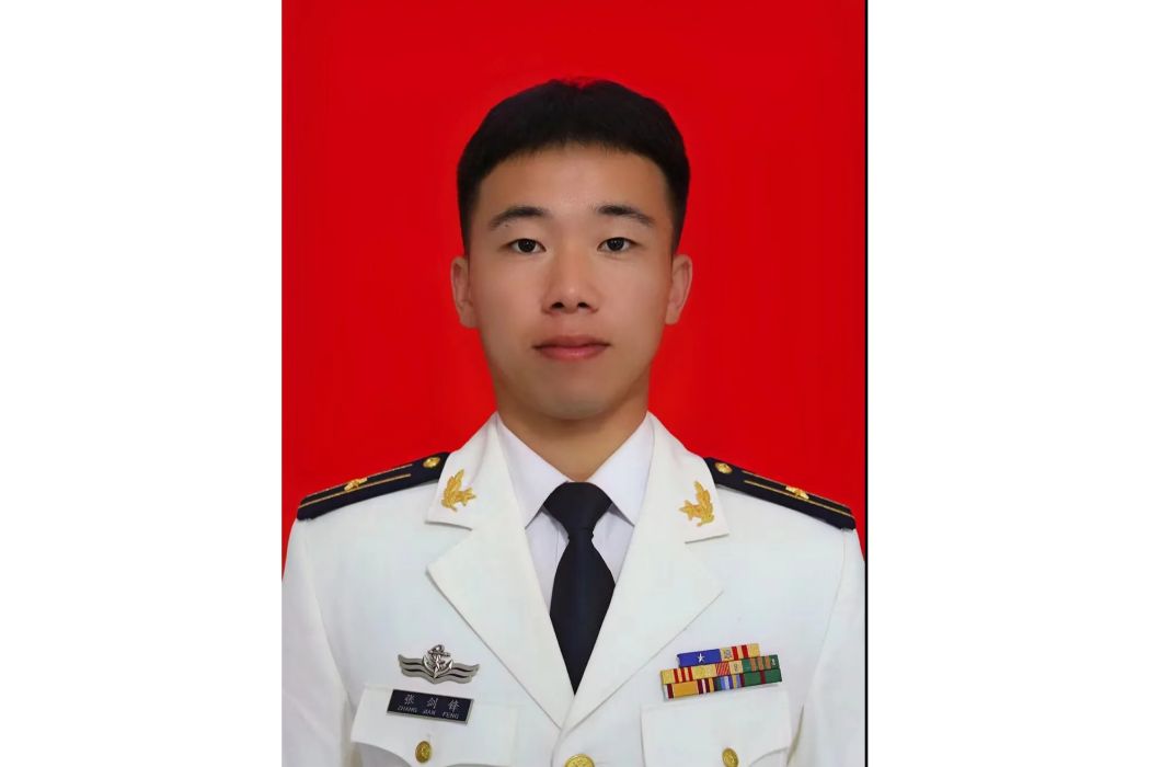 張劍鋒(二等功臣) 張劍鋒(二等功臣)