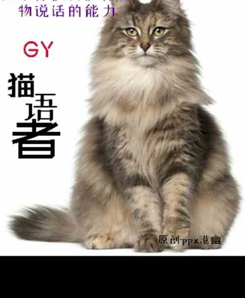 KY貓語者