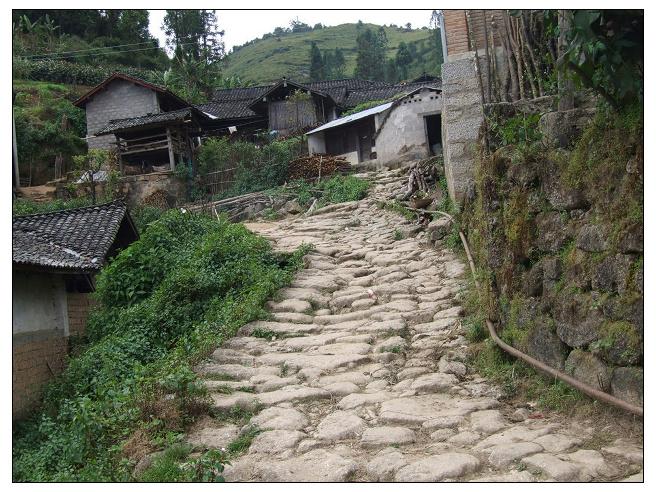 大石頭練自然村村內道路
