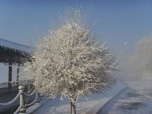 北國春雪 北國春雪