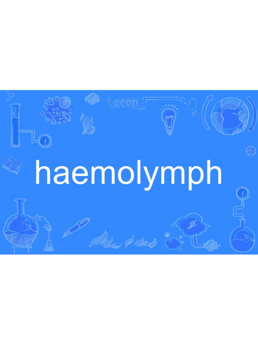 haemolymph haemolymph