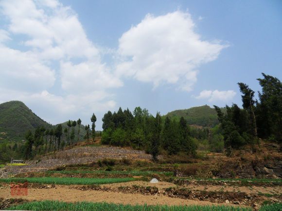 曬旗村 曬旗村