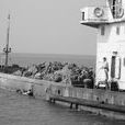 海洋傾廢 海洋傾廢