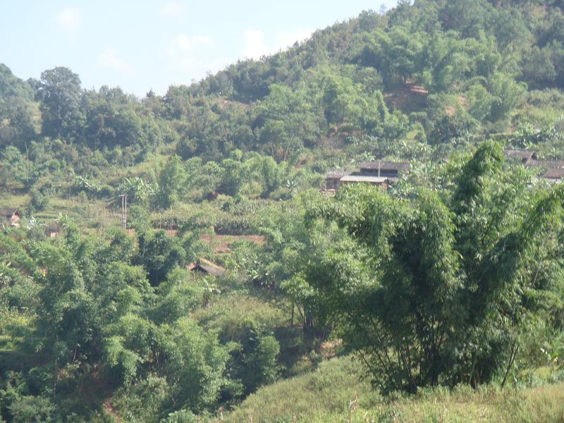 龍門箐村 龍門箐村
