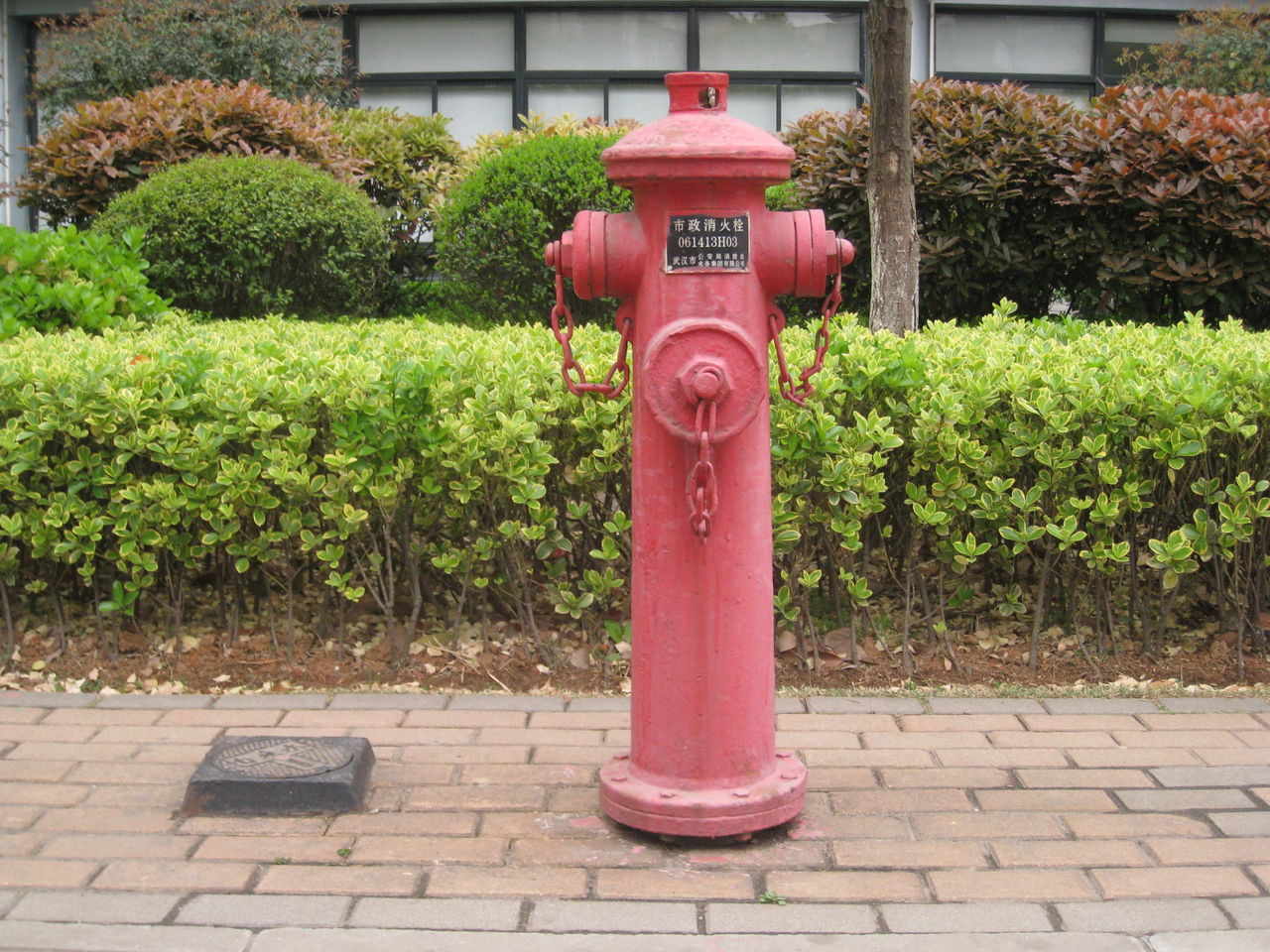 消防栓(消火栓)