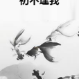 初不逢我