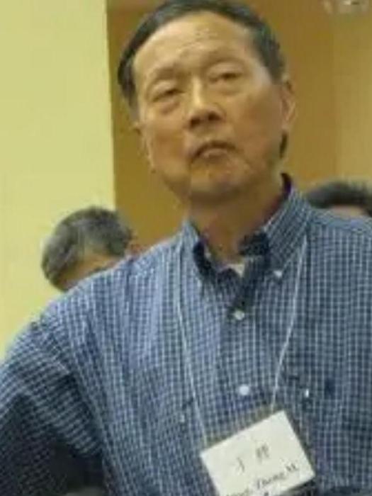 丁抒 丁抒