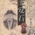 王安石八論 王安石八論