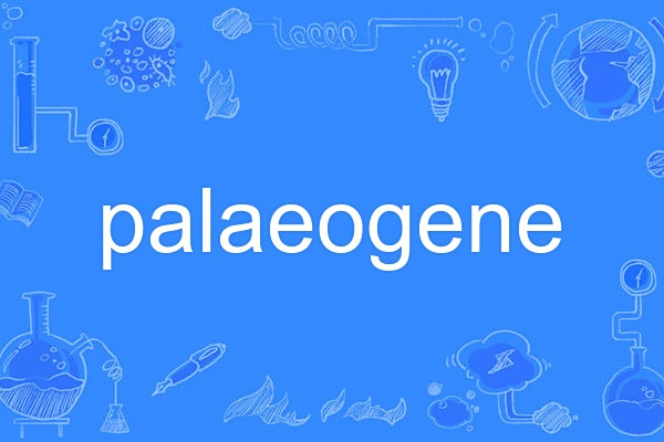 palaeogene palaeogene