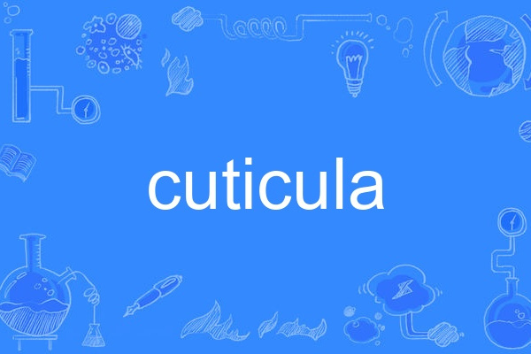 cuticula cuticula