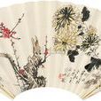 菊梅 菊梅