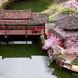 桃花源景區(重慶酉陽桃花源景區) 桃花源景區(重慶酉陽桃花源景區)
