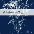 White——白色 White——白色