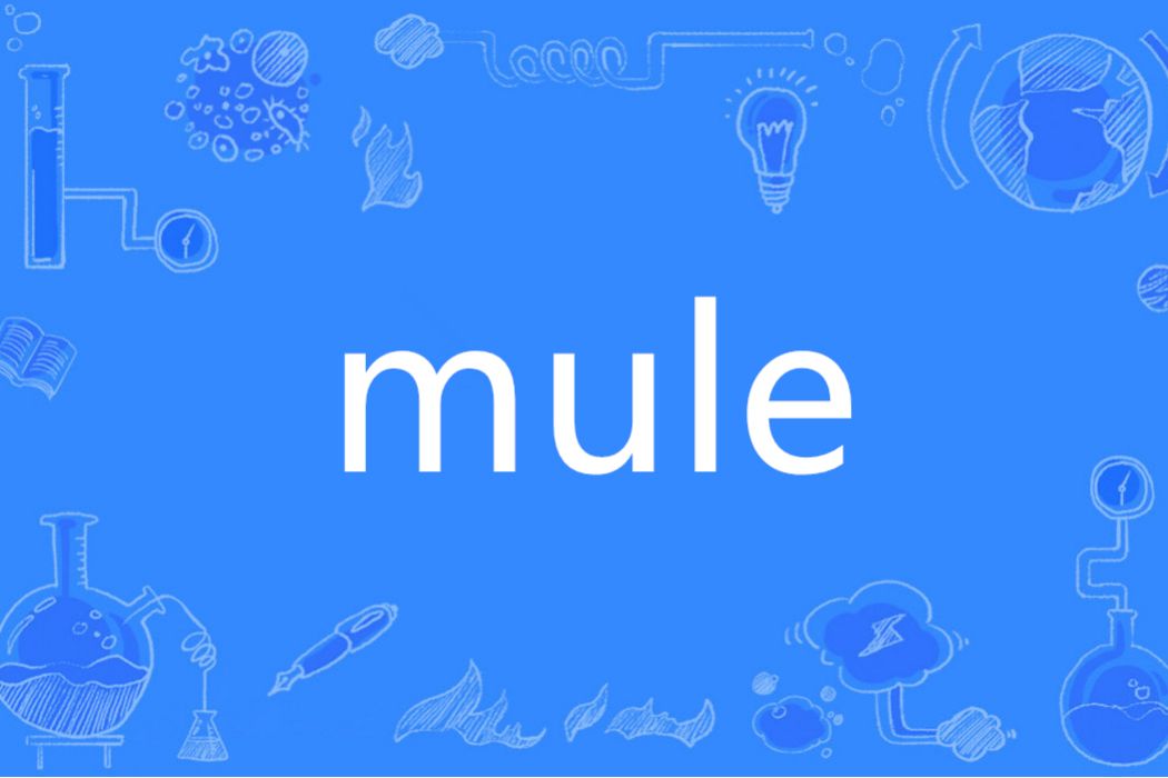 mule(英語單詞) mule(英語單詞)