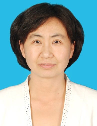 朱要宏 朱要宏