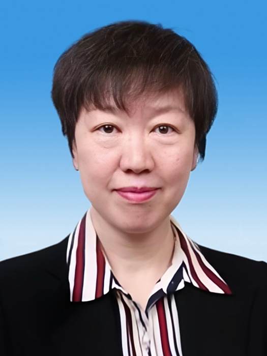 陳丹(北京印刷學院副院長) 陳丹(北京印刷學院副院長)