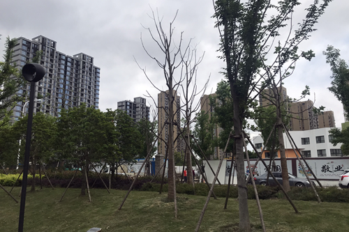 明昕園 明昕園