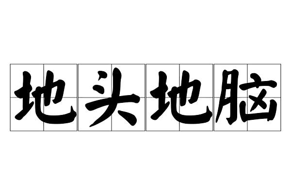 地頭地腦 地頭地腦