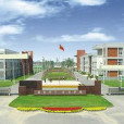 宏力學校 宏力學校