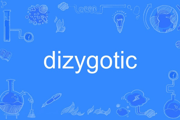 dizygotic dizygotic